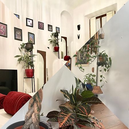 Apartamento La Stanza Della Giungla Milán Exterior foto