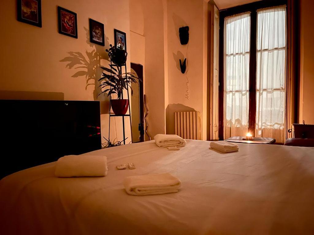 Apartamento La Stanza Della Giungla Milán Exterior foto
